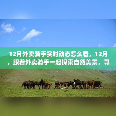 解決方案 第189頁