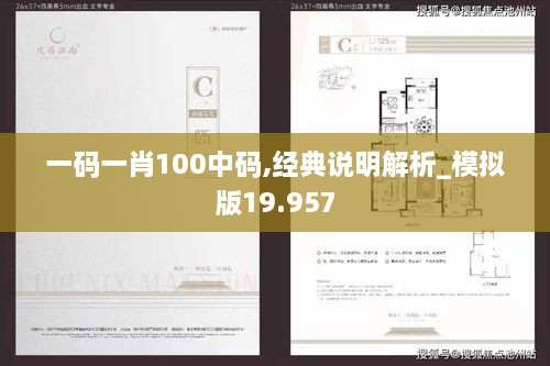 一碼一肖100中碼,經典說明解析_模擬版19.957