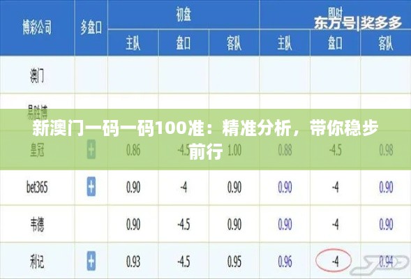 新澳門一碼一碼100準(zhǔn)：精準(zhǔn)分析，帶你穩(wěn)步前行