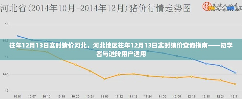 河北地區(qū)歷年12月13日實(shí)時(shí)豬價(jià)查詢指南，初學(xué)者與進(jìn)階用戶必備參考