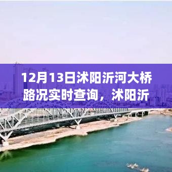 沭陽沂河大橋?qū)崟r(shí)路況深度解析，影響與價(jià)值探討