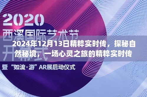 探秘自然秘境，心靈之旅的精粹實時傳（2024年12月13日）