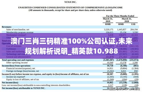 澳門三肖三碼精準100%公司認證,未來規(guī)劃解析說明_精英款10.988