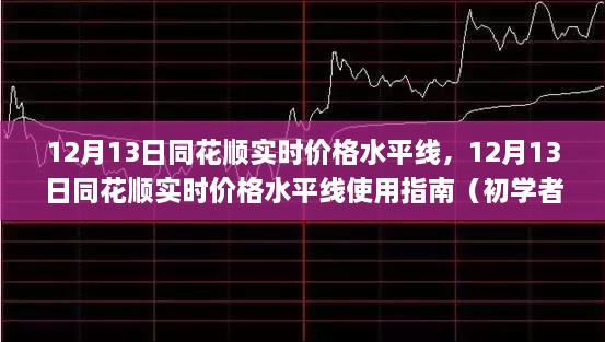 12月13日同花順實(shí)時(shí)價(jià)格水平線使用指南，從入門到進(jìn)階