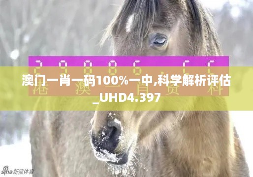 澳門一肖一碼100%一中,科學(xué)解析評(píng)估_UHD4.397