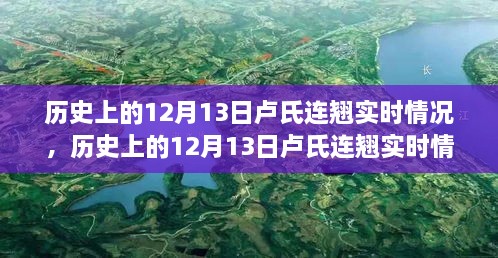 探索歷史上的盧氏連翹實(shí)時(shí)情況，指南與手冊(cè)揭秘盧氏連翹奧秘