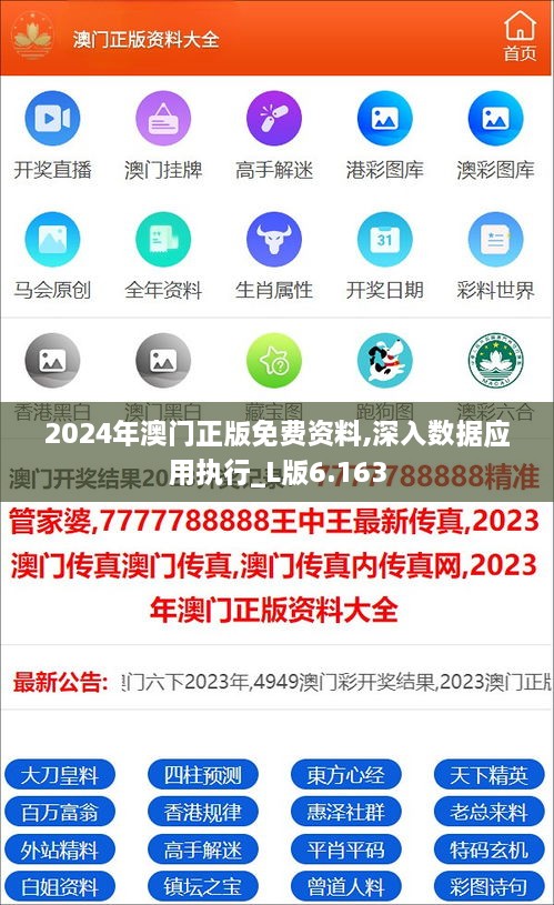 2024年澳門(mén)正版免費(fèi)資料,深入數(shù)據(jù)應(yīng)用執(zhí)行_L版6.163