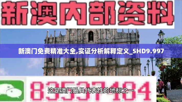 新澳門免費精準(zhǔn)大全,實證分析解釋定義_SHD9.997