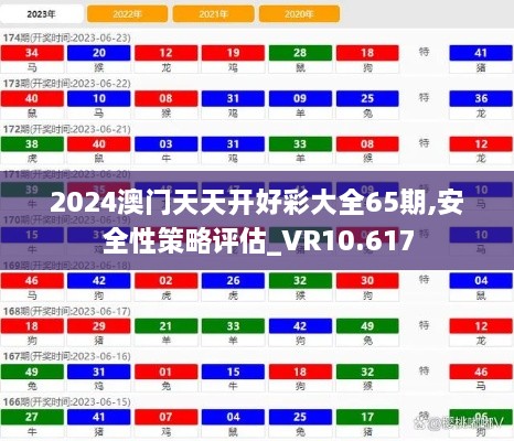 2024澳門(mén)天天開(kāi)好彩大全65期,安全性策略評(píng)估_VR10.617