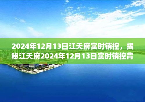 揭秘江天府實時銷控背后的秘密，深度解析2024年12月13日數(shù)據(jù)動態(tài)與趨勢分析