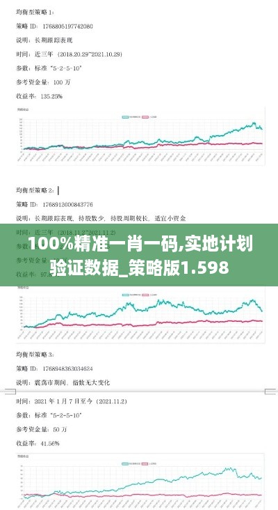 100%精準(zhǔn)一肖一碼,實(shí)地計(jì)劃驗(yàn)證數(shù)據(jù)_策略版1.598