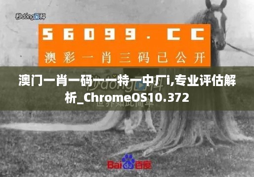 澳門一肖一碼一一特一中廠i,專業(yè)評(píng)估解析_ChromeOS10.372