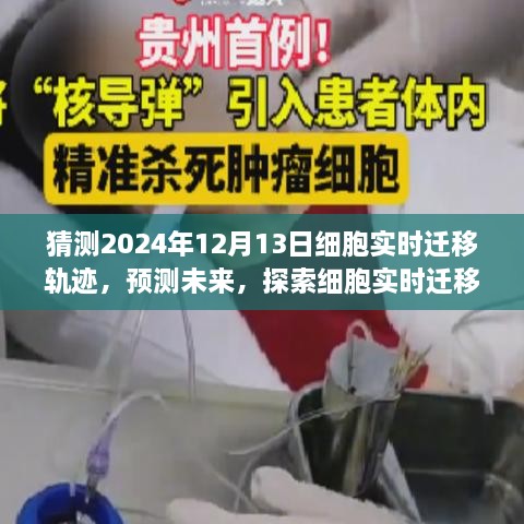 探索未來，預測細胞實時遷移軌跡技術——以2024年細胞遷移軌跡產(chǎn)品為例的預測分析