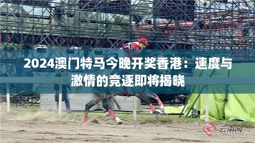 2024澳門特馬今晚開獎(jiǎng)香港：速度與激情的競(jìng)逐即將揭曉