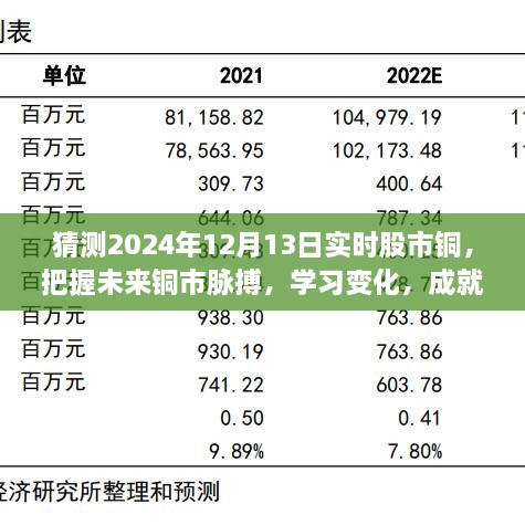 揭秘2024年12月13日股市銅市走向，洞悉變化成就投資夢想