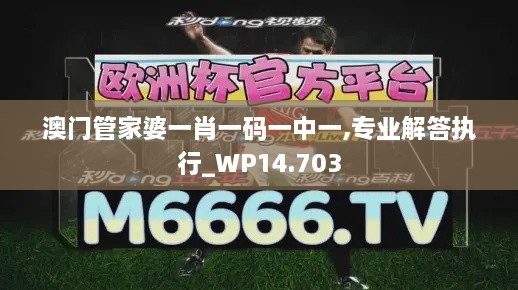 澳門管家婆一肖一碼一中一,專業(yè)解答執(zhí)行_WP14.703