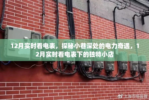 探秘小巷深處的電力奇遇，實時觀察電表下的獨特小店生活