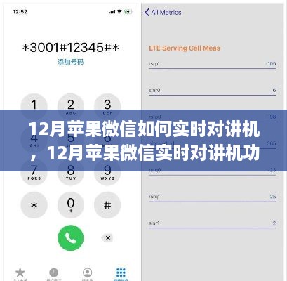12月蘋果微信實時對講機功能使用指南，步驟詳解與操作技巧