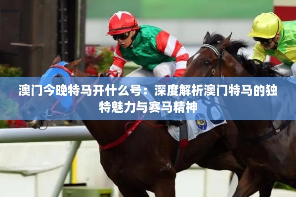 澳門今晚特馬開什么號(hào)：深度解析澳門特馬的獨(dú)特魅力與賽馬精神