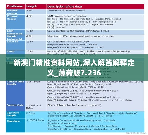 新澳門精準(zhǔn)資料網(wǎng)站,深入解答解釋定義_薄荷版7.236