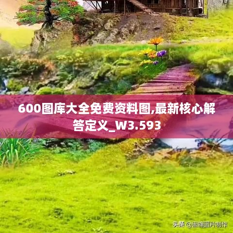 600圖庫大全免費(fèi)資料圖,最新核心解答定義_W3.593