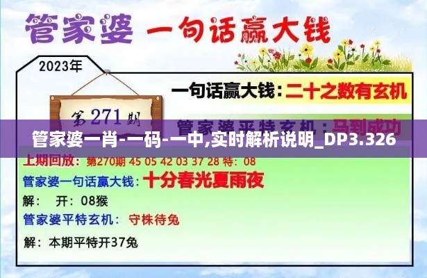 管家婆一肖-一碼-一中,實時解析說明_DP3.326