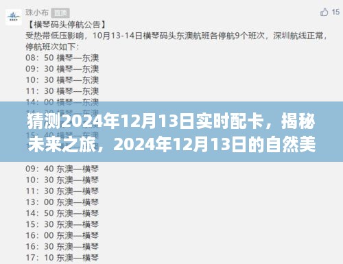 揭秘未來之旅，啟程尋找內(nèi)心的寧靜與平和——2024年12月13日自然美景配卡猜想