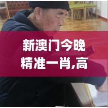 新澳門今晚精準一肖,高效計劃實施解析_復古款1.213