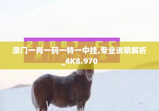 澳門(mén)一肖一碼一特一中掛,專(zhuān)業(yè)說(shuō)明解析_4K8.970