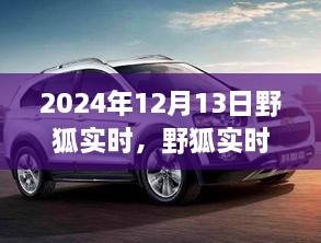 野狐實(shí)時(shí)，溫馨日常中的歡樂(lè)時(shí)光（2024年12月13日）