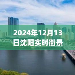 沈陽獨家揭秘，2024年實時街景地圖全解析，領(lǐng)略城市新風(fēng)貌