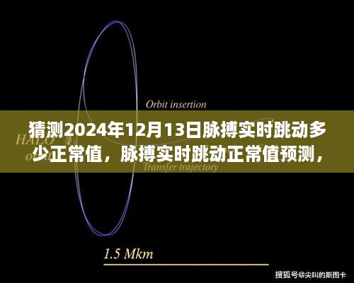 2024年12月13日脈搏實時跳動正常值預測與展望探討