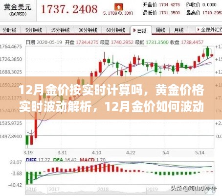 12月黃金價(jià)格實(shí)時解析，波動原因及預(yù)測