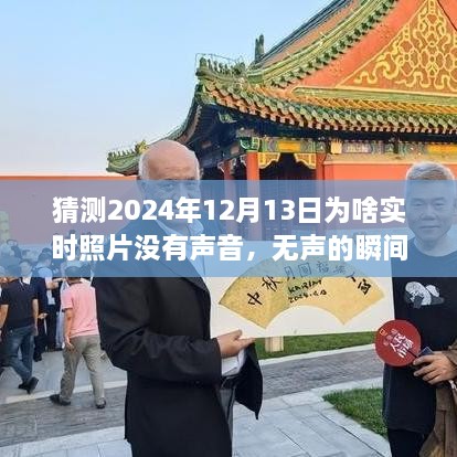 揭秘?zé)o聲瞬間背后的故事，為何2024年實(shí)時(shí)照片無(wú)聲開(kāi)啟學(xué)習(xí)與成長(zhǎng)之旅？