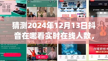 未來視野之旅，揭秘2024年抖音實時在線人數(shù)盛況——家庭日，在線情緣的見證