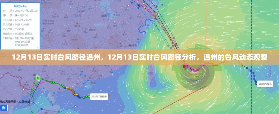 12月13日溫州臺風(fēng)路徑實時分析，最新動態(tài)與觀察報告