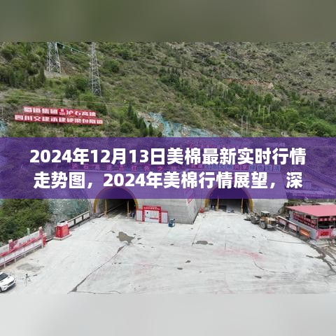 深度解析，2024年美棉行情展望與實時走勢圖背后的爭議