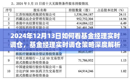 基金經(jīng)理實(shí)時調(diào)倉深度解析，洞悉策略與投資機(jī)會（2024年12月13日投資洞察）