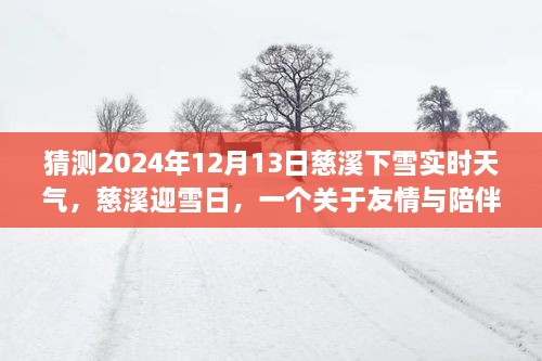 慈溪雪日溫情，友情與陪伴的溫馨故事，預(yù)測(cè)2024年12月13日實(shí)時(shí)天氣