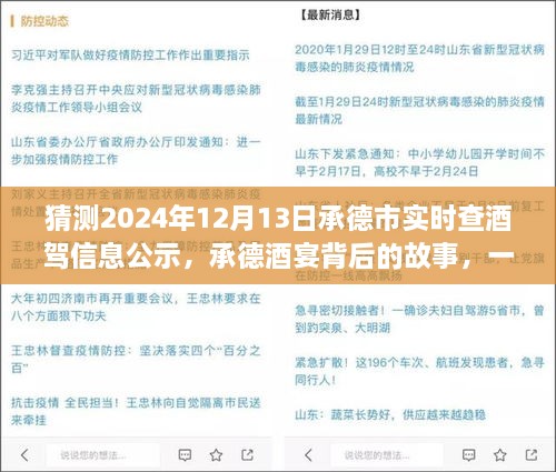 承德酒宴背后的故事，酒駕信息公示探秘之旅（猜測2024年12月13日承德市實時查酒駕信息公示）