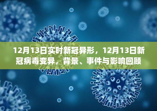 回顧，新冠病毒變異背景、事件與影響——以12月13日新冠病毒變異為例