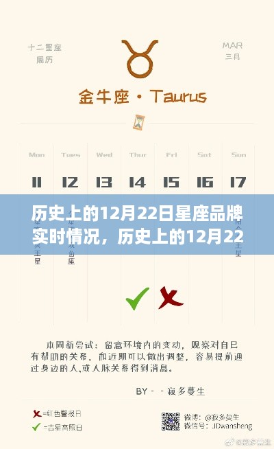 探尋星座品牌之旅，歷史上的12月22日星座品牌實時動態(tài)與心靈自然美景之旅