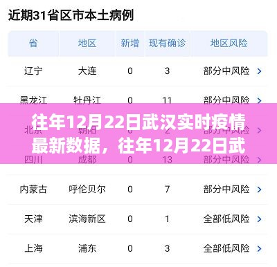 往年12月22日武漢實(shí)時(shí)疫情數(shù)據(jù)深度解析，特性、體驗(yàn)、競品對比及用戶群體分析報(bào)告