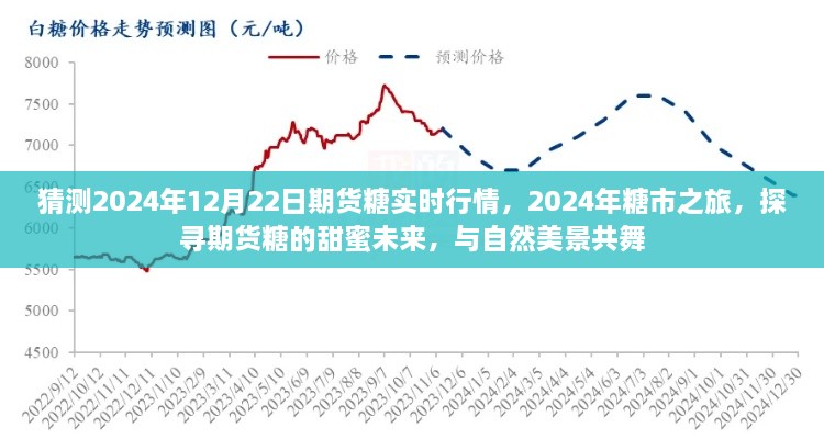 探尋期貨糖的甜蜜未來，預測2024年糖市行情與期貨糖實時行情展望