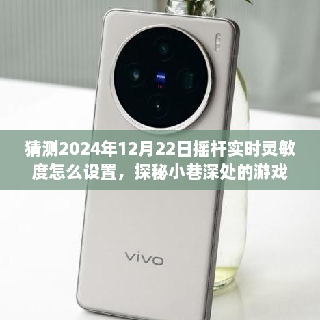 探秘游戲秘境，2024年搖桿實時靈敏度調(diào)整指南與獨特小店之旅揭秘游戲細節(jié)，小巷深處的游戲秘境等你來探探。