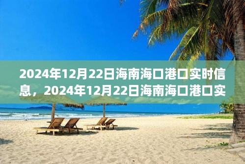 2024年12月22日海南?？诟劭趯?shí)時(shí)信息全解析，小紅書帶你掌握最新動(dòng)態(tài)