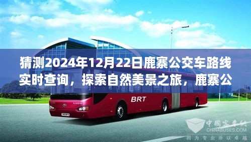 鹿寨公交路線新探秘，啟程2024年12月22日，探尋自然美景之旅實(shí)時(shí)查詢