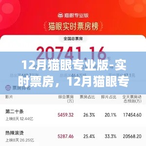 12月貓眼專業(yè)版實時票房解析，電影市場深度洞察