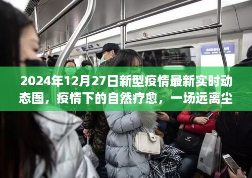 疫情下的自然療愈之旅，探尋內(nèi)心平靜與新型疫情的實時動態(tài)圖