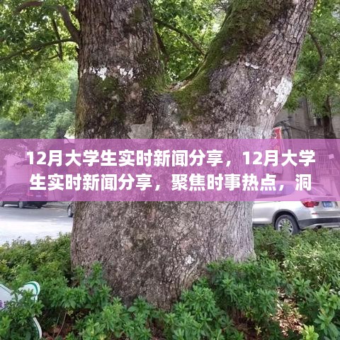 聚焦時事熱點，大學(xué)生實時新聞分享，洞察時代變遷的十二月觀察